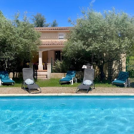 Les Oliviers - Villa 10 People - 5 Min Ardeche Saint-Julien-de-Peyrolas 外观 照片